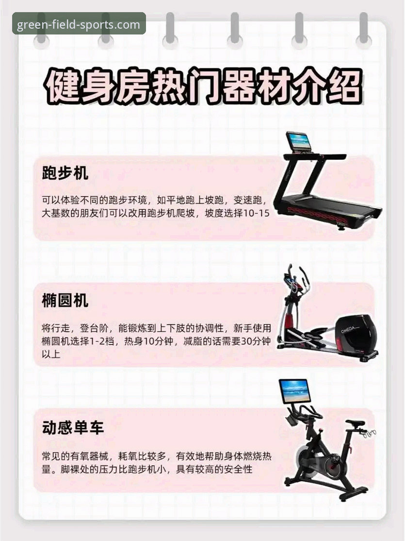 专业体育器材选购与使用实用指南：绿茵体育平台经验分享